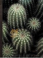 CACTI AND SUCCULENTS BY PHILIP PERL AND THE EDITORS OF TIME-LIFE BOOKS PDF电子版封面