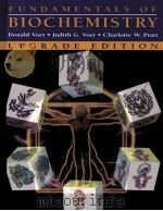 FUNDAMENTALS OF BIOCHEMISTRY UPGRADE EDITION PDF电子版封面 0471417599