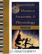 ESSENTIALS OF HUMAN ANATOMY & PHYSIOLOGY SISTH EDITION PDF电子版封面 0805349405
