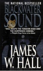 THE NATIONAL BESTSELLER BLACKWATER SOUND PDF电子版封面