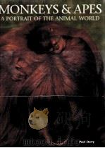 MONKEYS & APES A PORTRAIT OF THE ANIMAL WORLD PDF电子版封面 0831709561