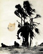 BY RAFAEL STEINBERG AND THE EDITORS OF TIME-LIFE BOOKS ISLAND FIGHTING PDF电子版封面