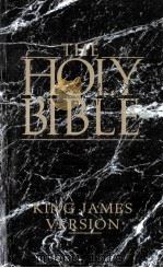 THE HOLY BIBLE 1991 PDF电子版封面