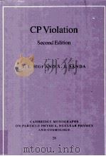 CP Violation Second Edition PDF电子版封面