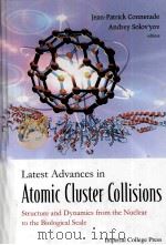 Latest Advances in Atomic Cluster Collisions（ PDF版）