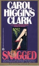 CAROL HIGGINS CLARK  SNAGGED（ PDF版）
