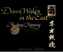 DAWN WAKES IN THE CAST AUDREY JOPPING PDF电子版封面