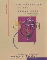 INTHODUCTION TO THE HUMAN BODY PDF电子版封面 0065013638
