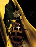 PESTS AND DISEASES（ PDF版）