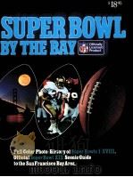 SUPER BOWL BY THE BAY（ PDF版）