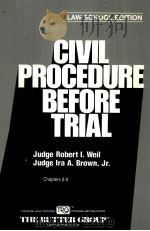 CIBIL PROCEDURE BEFORE TRIAL CHAPTERS 8-9 PDF电子版封面