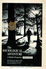 THE SOCIOLOGICAL ADVENTURE A HOLISTIC PERSPECTIVE THIRD EDITION PDF电子版封面