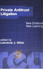 PRIVATE ANTITRUST LITIGATION（ PDF版）