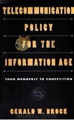 TELECOMMUNICATION POLICY FOR THE INFORMATION AGE（ PDF版）