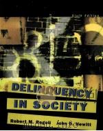 DELINQUENCY IN SOCIETY SIXTH EDITION PDF电子版封面 9780072989687