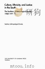 CULTURE ETHNICITY AND JUSTICE IN THE SOUTH（ PDF版）