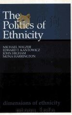 THE POLITICS OF ETHNICITY     PDF电子版封面  0674687531   