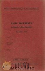 BASIC DOCUMENTS PDF电子版封面