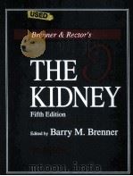 THE KIDNEY  Brenner & Rector's  VOLUME 2  Fifth Edition（ PDF版）
