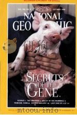 NATIONAL GEOGRAPHIC VOL.196 NO.4 OCTOBER 1999 PDF电子版封面