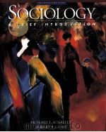 SOCIOLOGY  A BRIEF INTRODUCTION  SECOND EDITION（ PDF版）