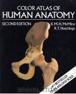 HUMAN ANATOMY SECOND EDITION PDF电子版封面 0815158556