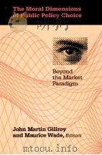 THE MORAL DIMENSIONS OF PUBLIC POLICY CHOICE BEYOND THE MARKET PARADIGM PDF电子版封面