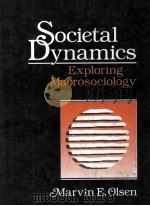 SOCIETAL DYNAMICS EXPLORING MACROSOCIOLOGY PDF电子版封面