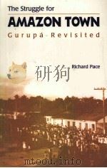 THE STRUGGLE FOR AMAZON TOWN（ PDF版）