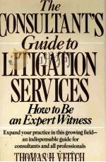 THE CONSULTANT'S GUIDE TO LITIGATION SERVICES PDF电子版封面 9780471554066