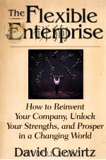 THE FLEXIBLE ENTERPRISE（ PDF版）