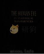 THE HUMAN EYE IN ANTOMICAL TRANSPARENCIES PDF电子版封面