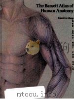 THE BASSETT ATLAS OF HUMAN ANATOMY PDF电子版封面 0805301186