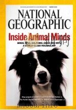 NATIONAL GEOGRAPHIC VOL.213 NO.3 MARCH 2008 PDF电子版封面