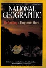 NATIONAL GEOGRAPHIC VOL.211 NO.3 MARCH 2007 PDF电子版封面