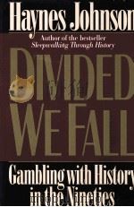 DIVIDED WE FALL PDF电子版封面 0393036294