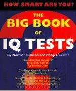 THE BIG BOOK OF IQ TESTS PDF电子版封面 1579120229