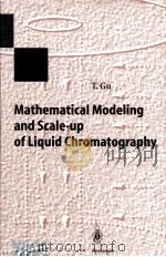 Mathematical Modeling and Scale-up of Liquid Chromatography（1995 PDF版）
