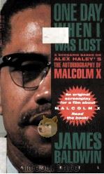 JAMES BALDWIN ONE DAY WHEN I WASLOST PDF电子版封面