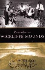 EXCAUATIONS AT WICKLIFFE MOUNDS PDF电子版封面