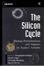 THE SILICON CYCLE（ PDF版）
