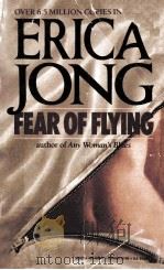 FEAR OF FLYING A NOCEL（ PDF版）
