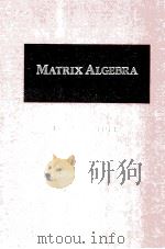 MATRIX ALGEBRA（ PDF版）