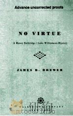 NO VIRTUE PDF电子版封面 0802732593