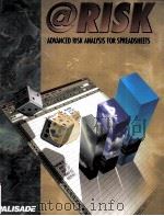 RISK ADVANCED RISK ANALYSIS FOR SPREADSHEETS（ PDF版）