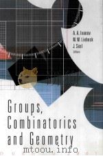 GROUPS COMBINATORICS AND GEOMETRY PDF电子版封面 9812383123