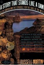 A STORY THAT STANDS LIKE A DAM 1989 PDF电子版封面 0805015515