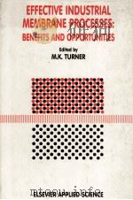 EFFECTIVE INDUSTRIAL MEMBRANE PROCESSES:BENEFITS AND OPPORTUNITIES 1991 PDF电子版封面 1851667237