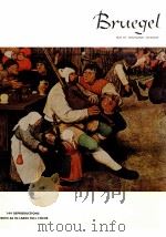 Pieter Bruegel PDF电子版封面 4568160111