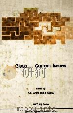 Glass...Current lssues 1985 PDF电子版封面 9024731550